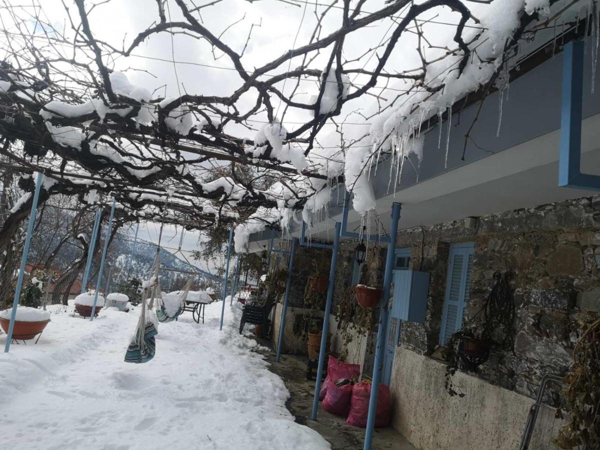 Holiday House Prodromos Exterior foto